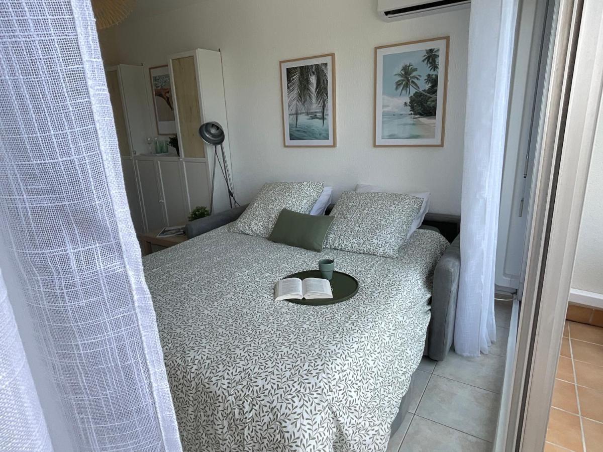 Studio Le Vue Mer Acces Direct A La Plage Parking Prive Clim Belle Terrasse Ле-Гро-дю-Руа Экстерьер фото